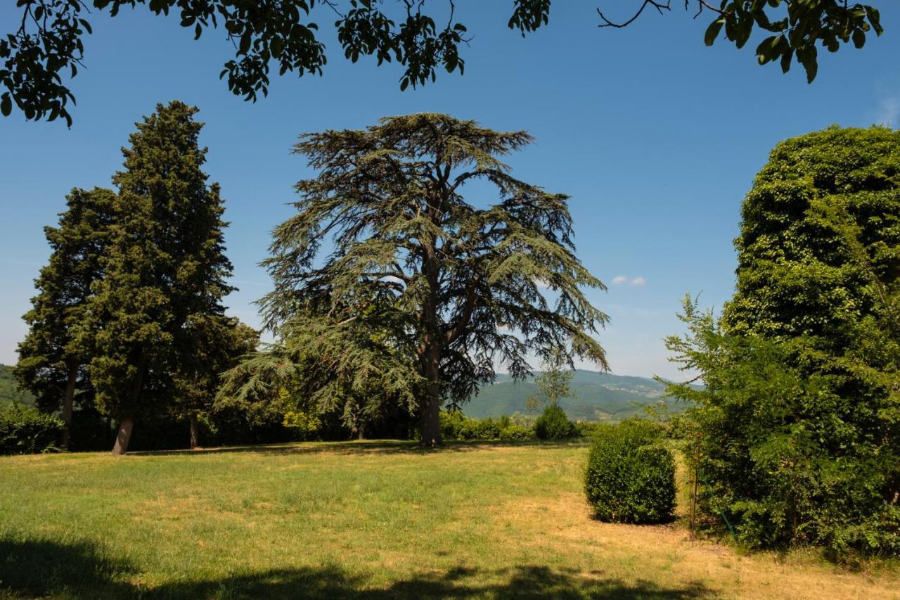 Agriturismo Fattoria Lavacchio Pontassieve Exteriér fotografie