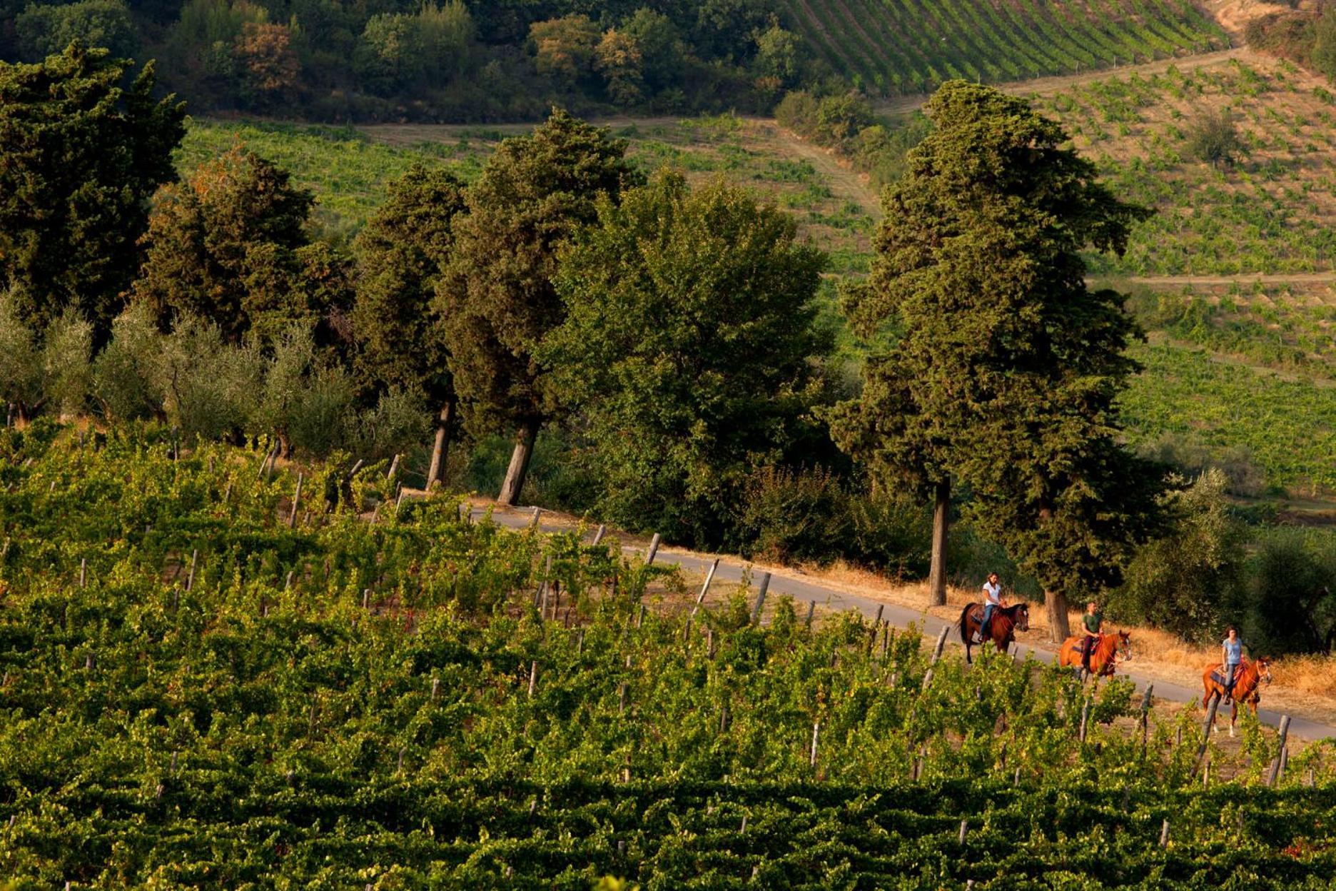 Agriturismo Fattoria Lavacchio Pontassieve Exteriér fotografie