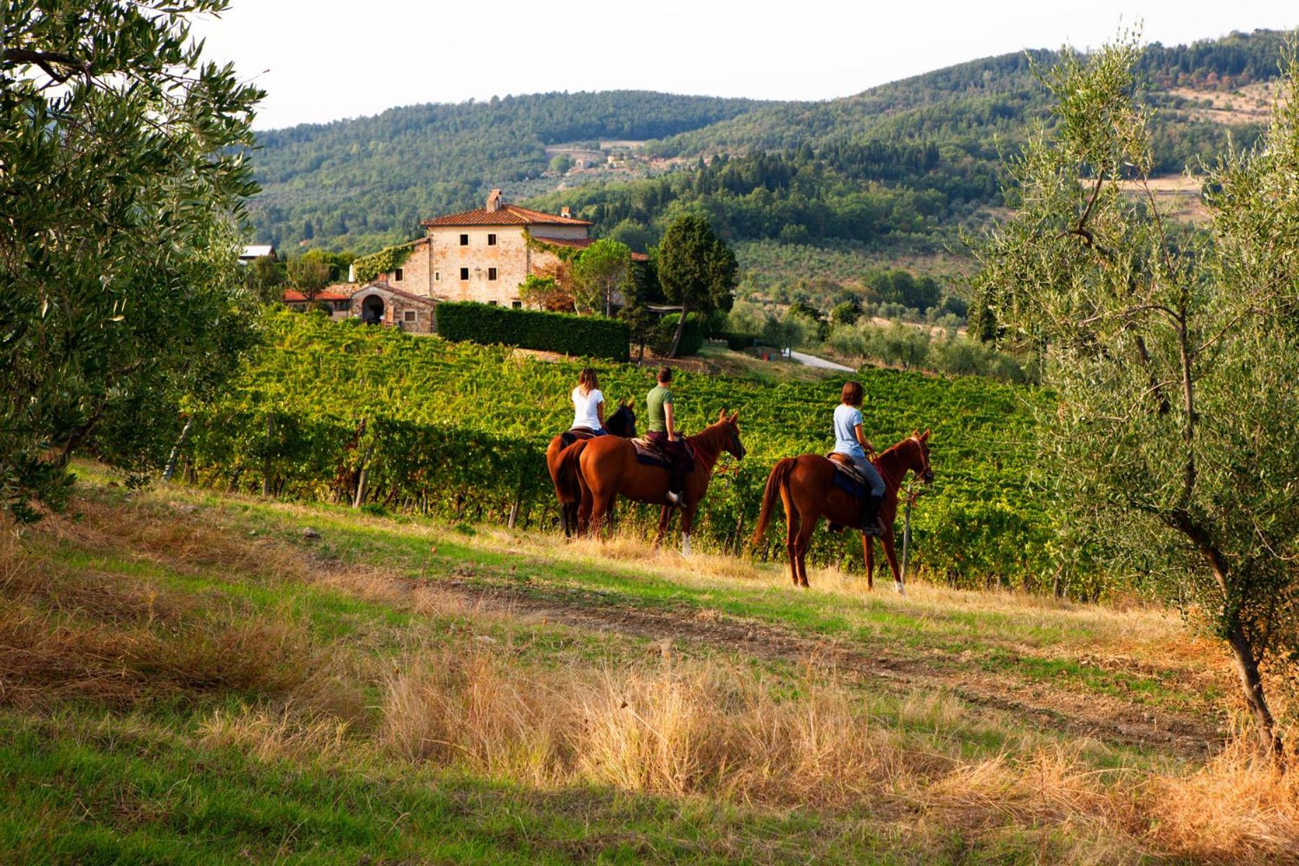 Agriturismo Fattoria Lavacchio Pontassieve Exteriér fotografie