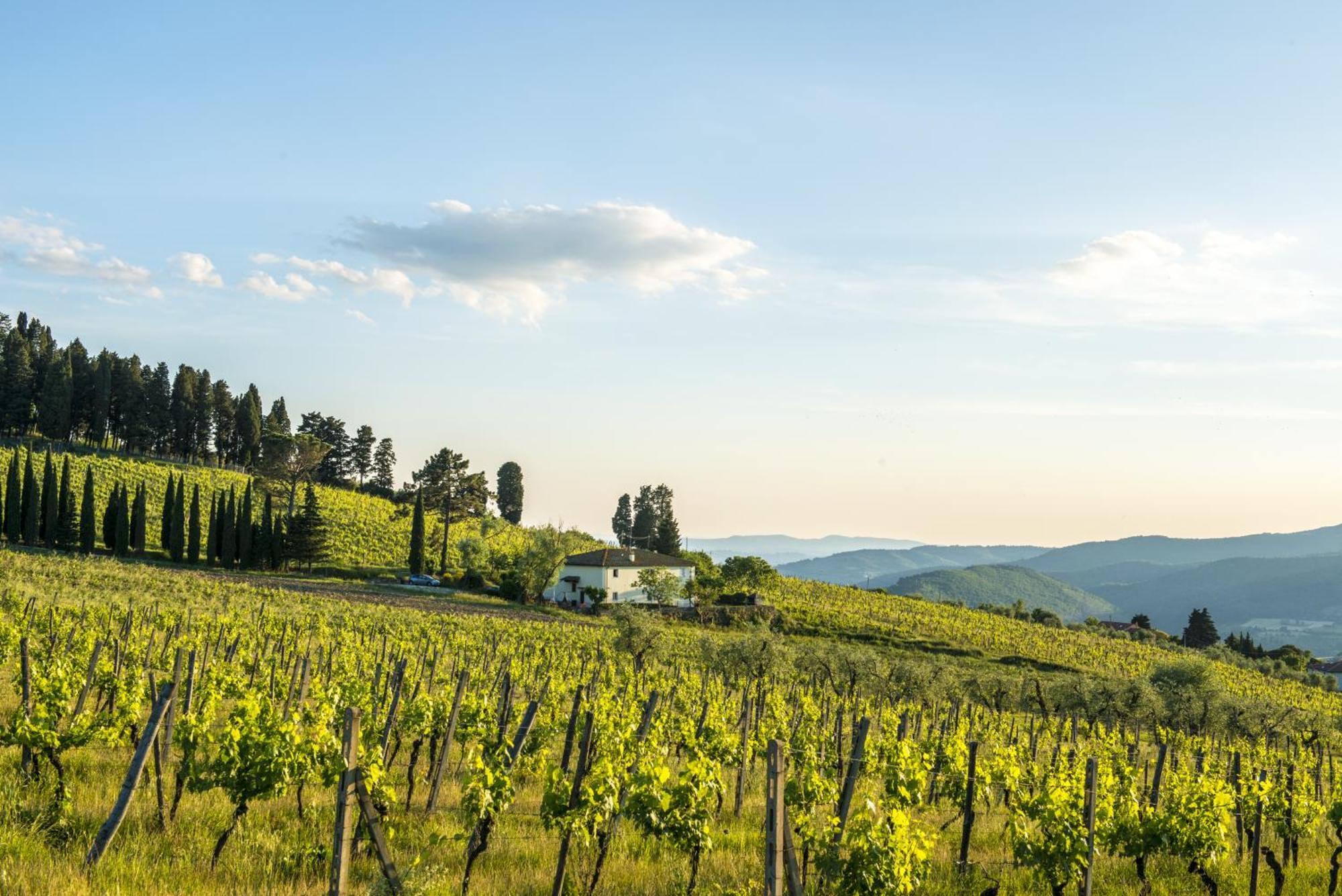 Agriturismo Fattoria Lavacchio Pontassieve Pokoj fotografie